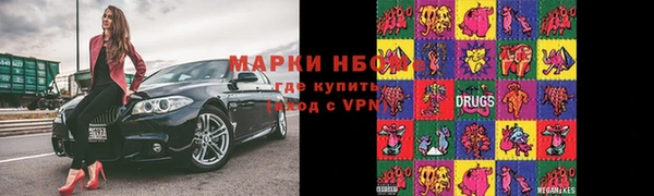 хмурый Бородино