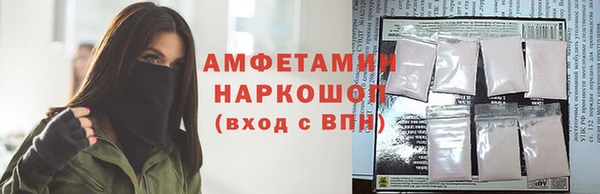 хмурый Бородино