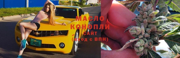 хмурый Бородино