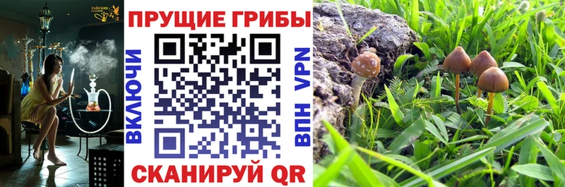 Псилоцибиновые грибы мицелий  KRAKEN tor  Кириллов 